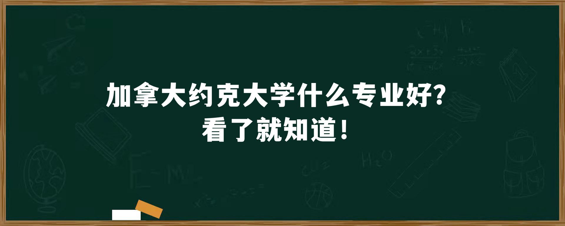 加拿大约克大学什么专业好？看了就知道！