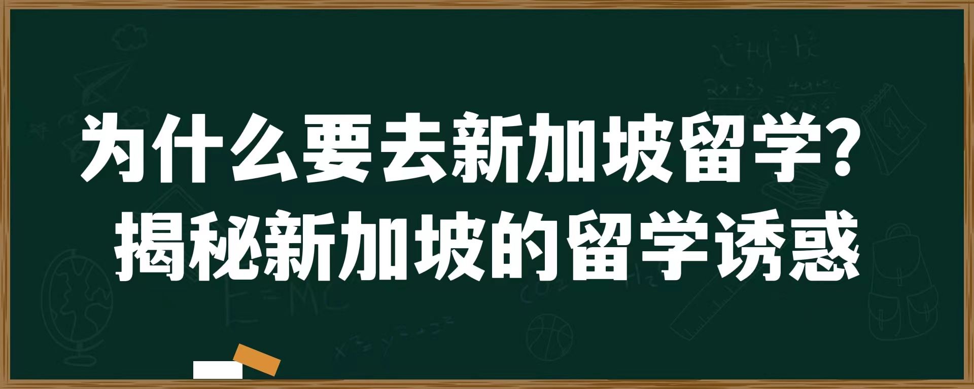 为什么要去新加坡留学？揭秘新加坡的留学诱惑