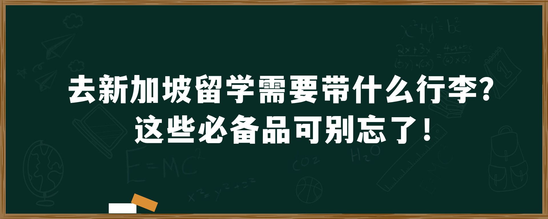 去新加坡留学需要带什么行李？这些必备品可别忘了！