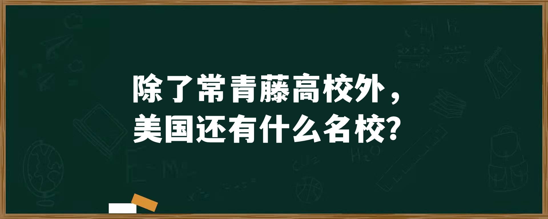 除了常青藤高校外，美国还有什么名校？