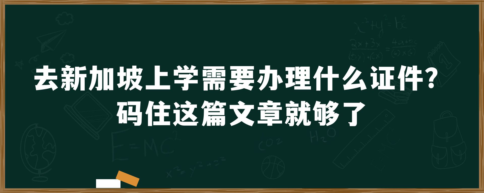 去新加坡上学需要办理什么证件？码住这篇文章就够了