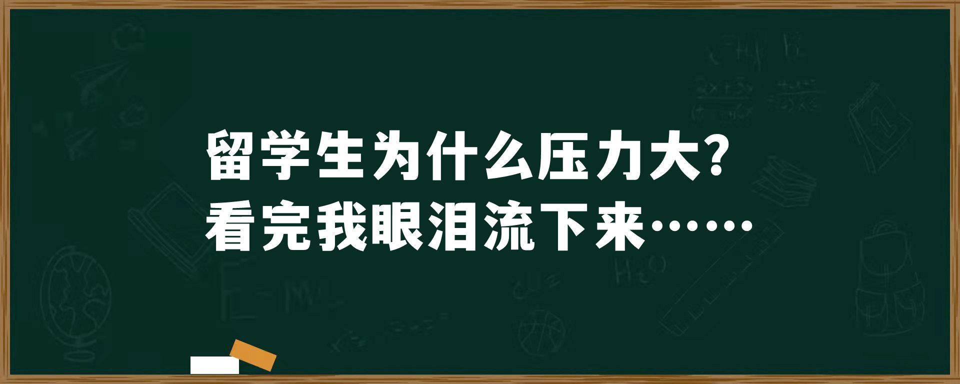 留学生为什么压力大？看完我眼泪流下来……