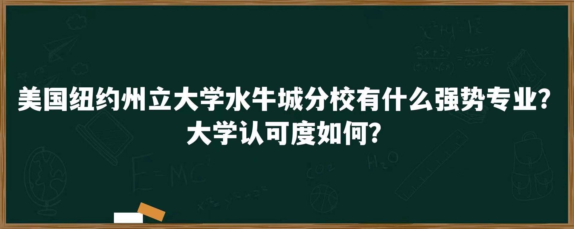 美国纽约州立大学水牛城分校有什么强势专业？大学认可度如何？