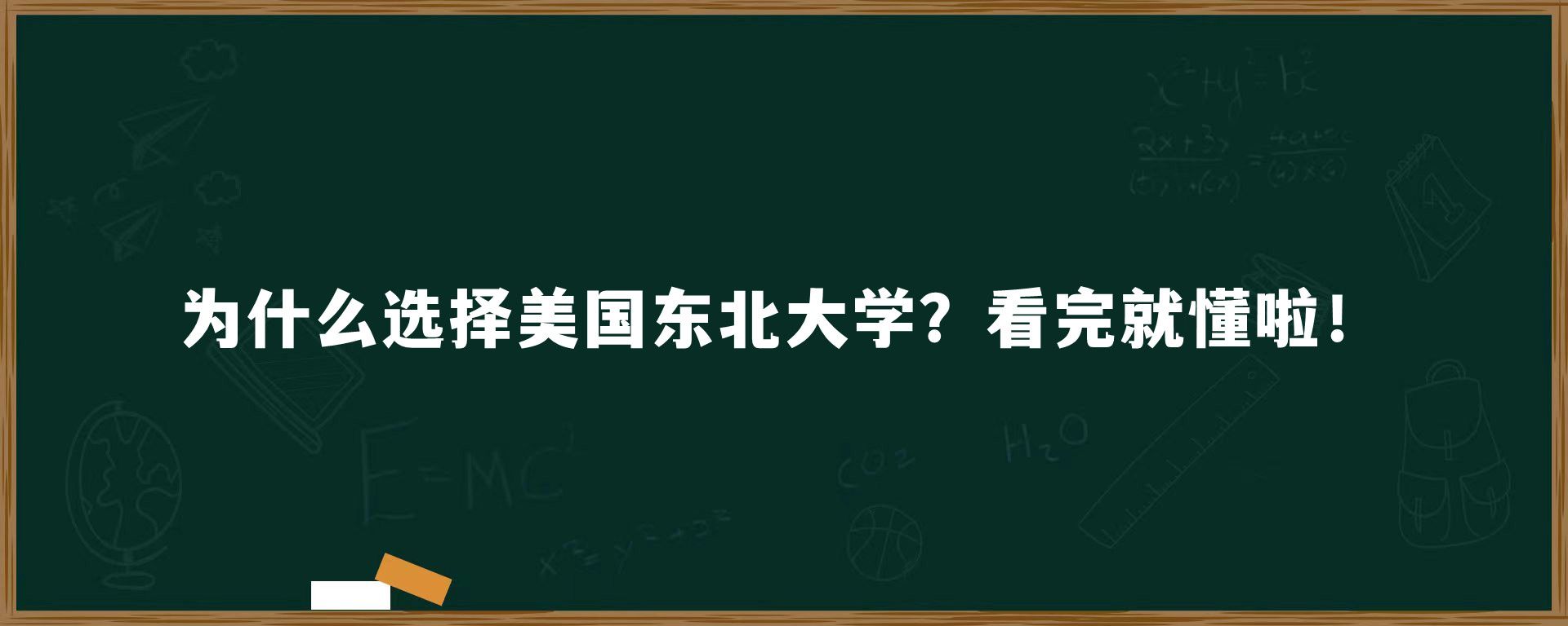 为什么选择美国东北大学？看完就懂啦！