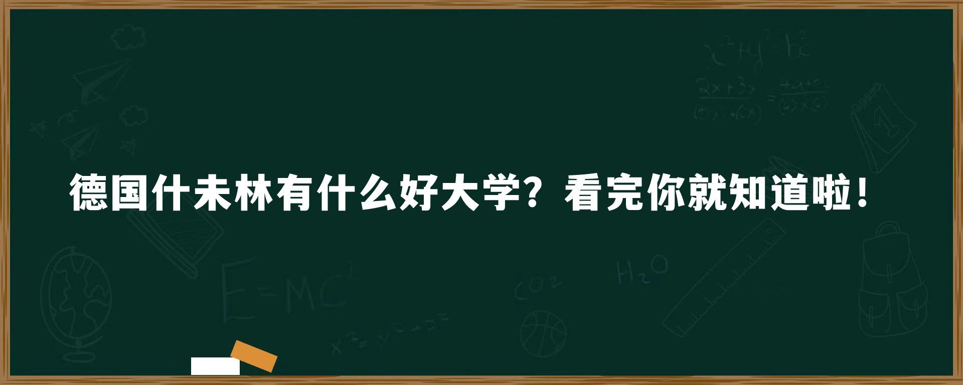 德国什未林有什么好大学？看完你就知道啦！