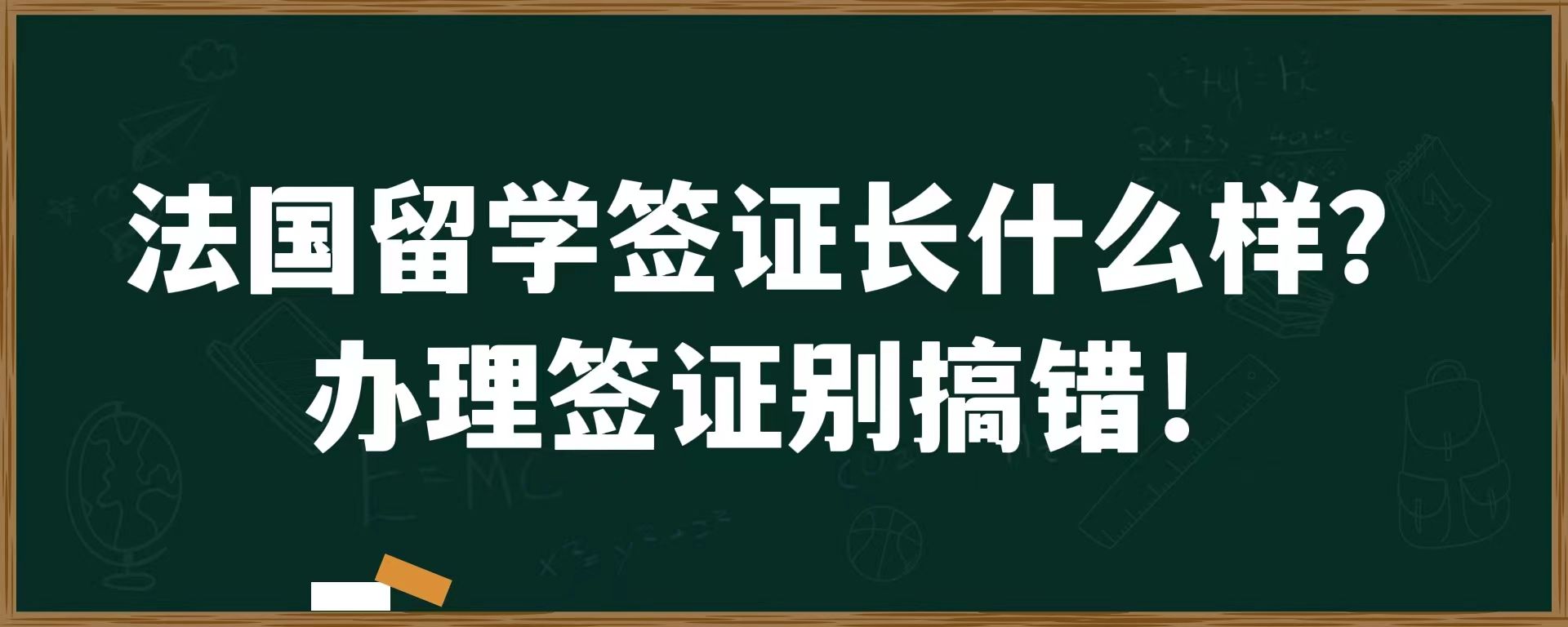 法国留学签证长什么样？办理签证别搞错！