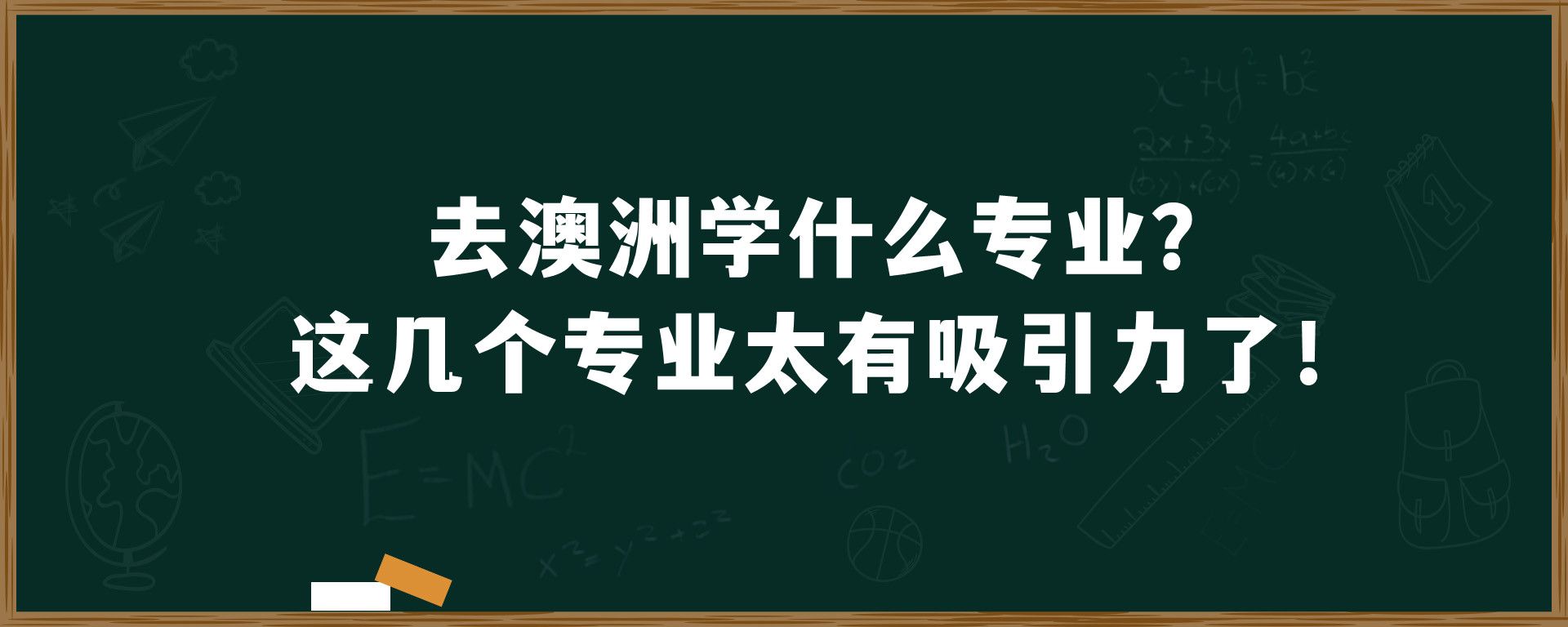 去澳洲学什么专业？这几个专业太有吸引力了！