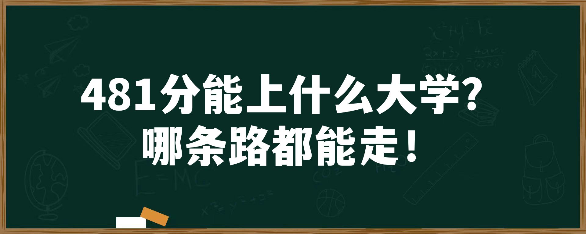 481分能上什么大学？哪条路都能走！