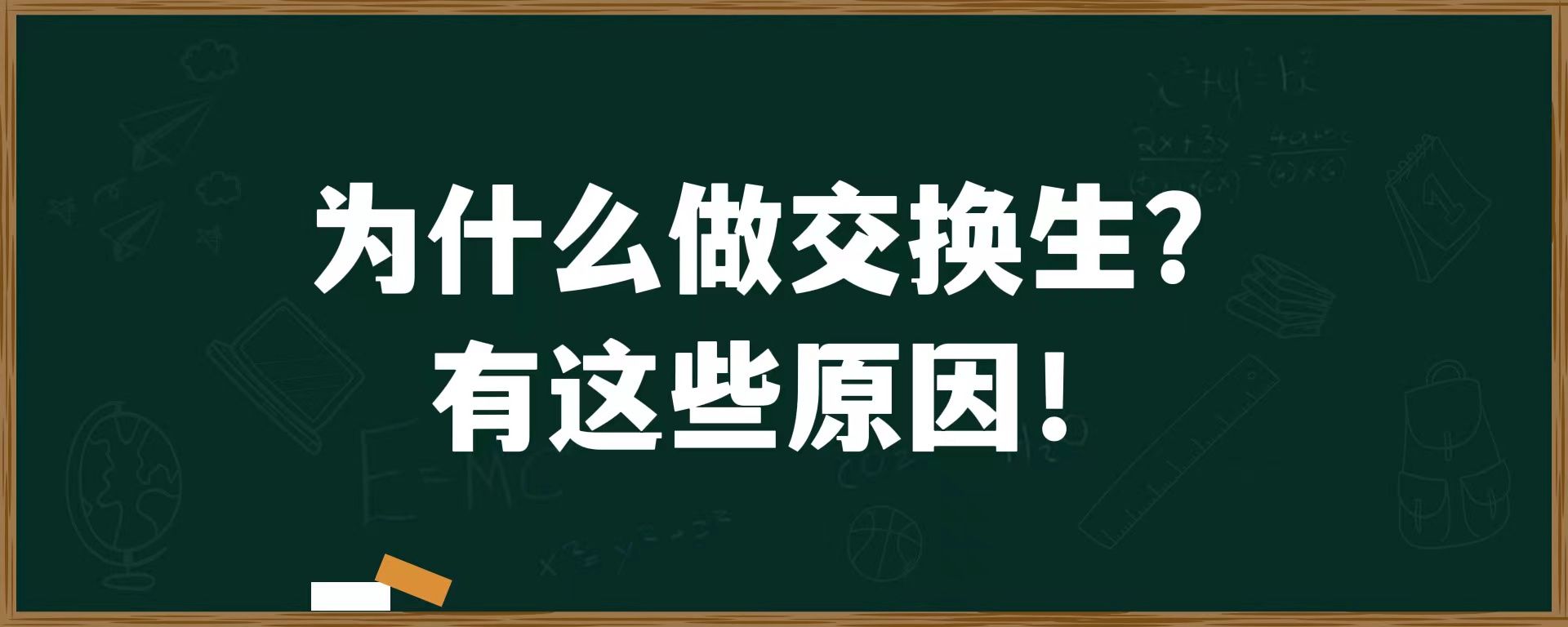 为什么做交换生？有这些原因！