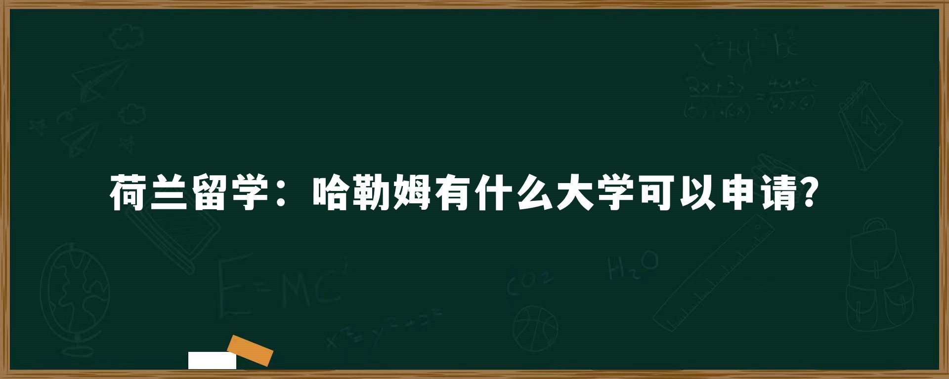 荷兰留学：哈勒姆有什么大学可以申请？