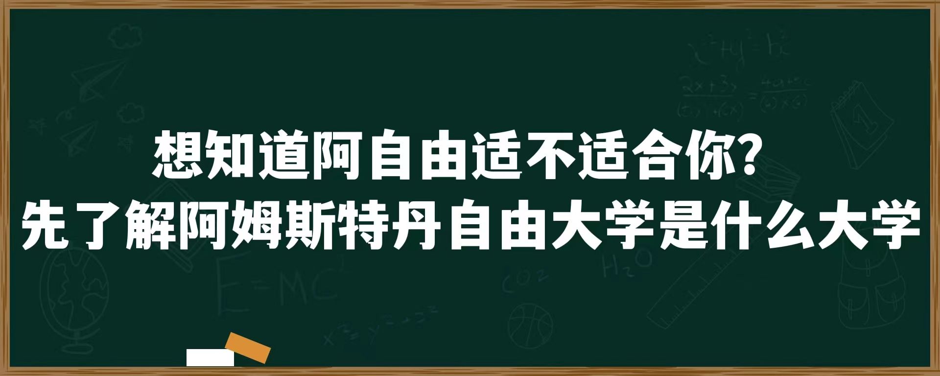 想知道阿自由适不适合你？先了解阿姆斯特丹自由大学是什么大学