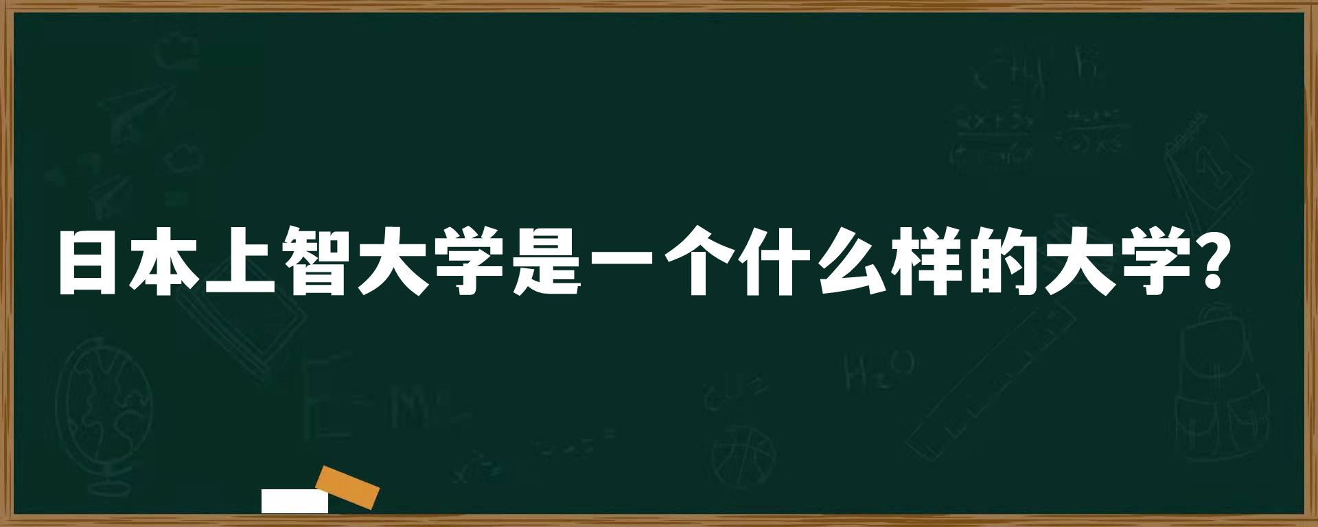 日本上智大学是一个什么样的大学？