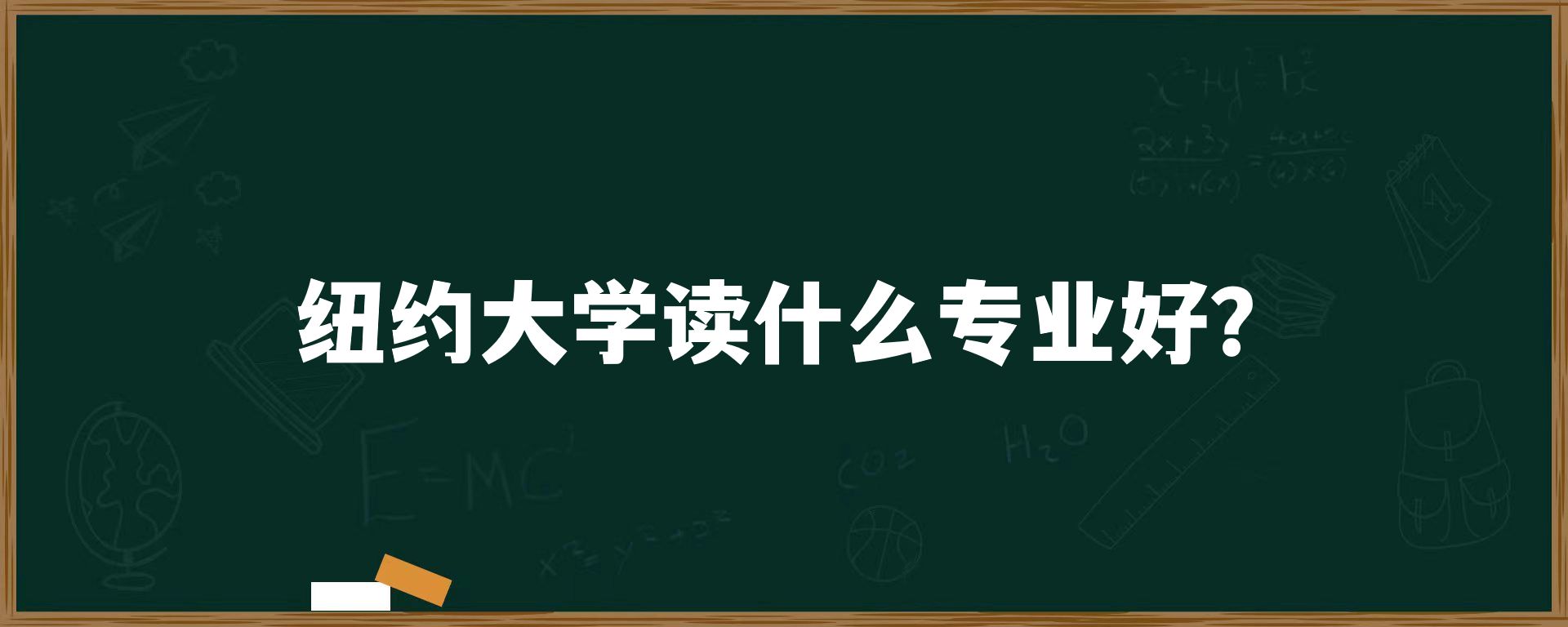 纽约大学读什么专业好？