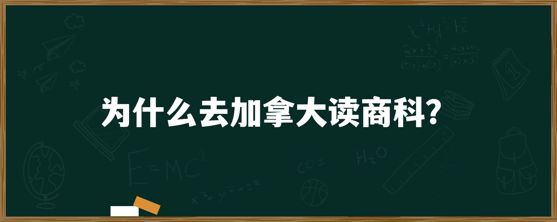 为什么去加拿大读商科？