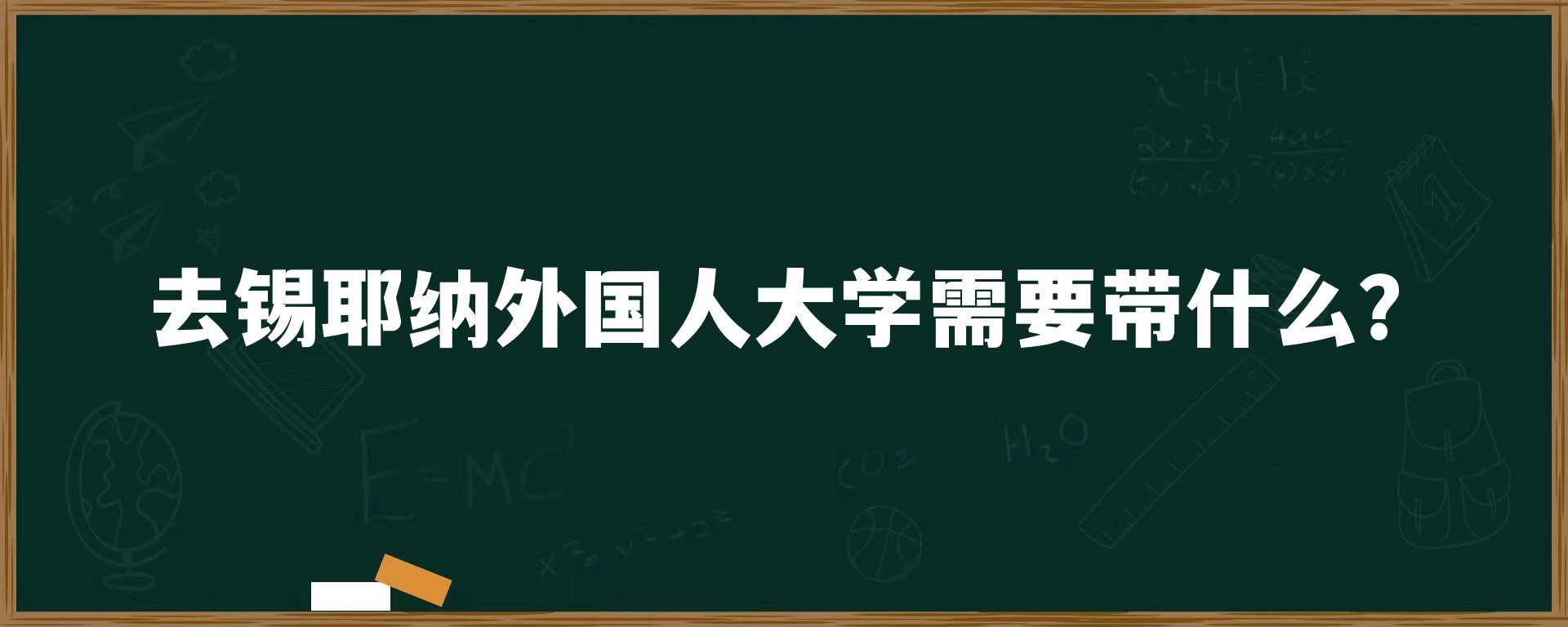 去锡耶纳外国人大学需要带什么？