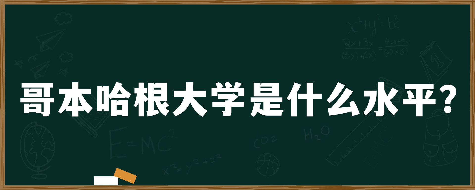 哥本哈根大学是什么水平？