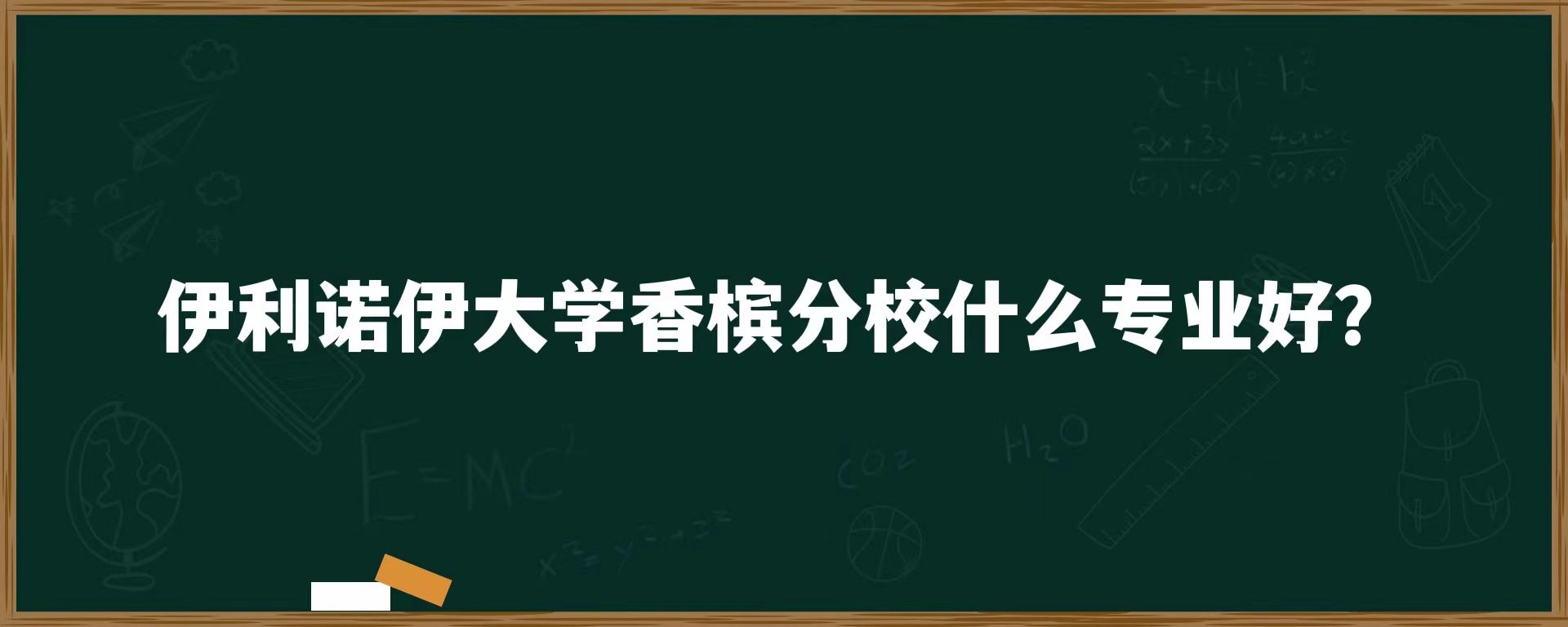 伊利诺伊大学香槟分校什么专业好？