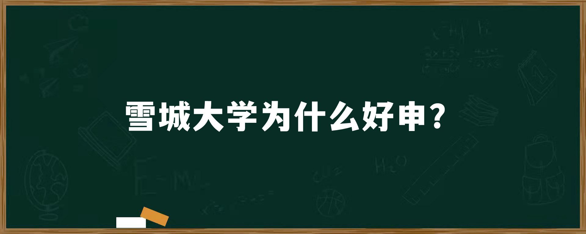 雪城大学为什么好申？