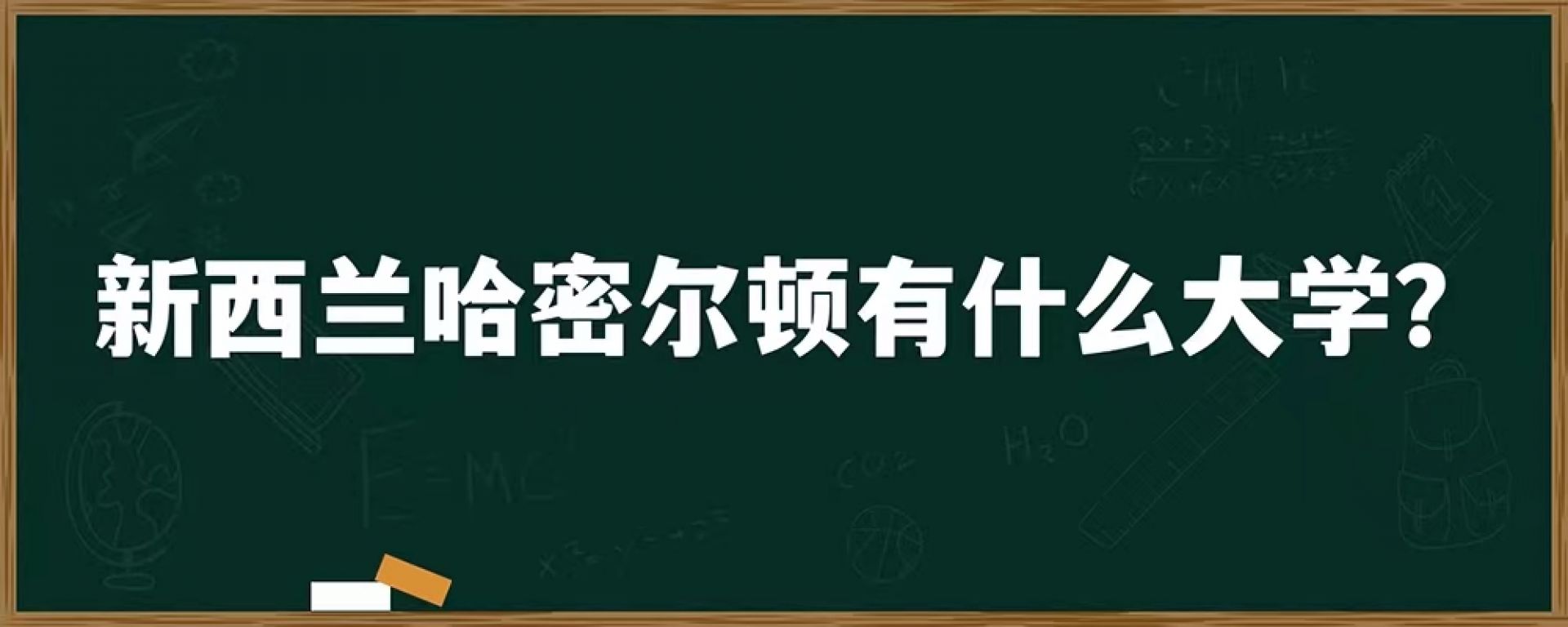 新西兰哈密尔顿有什么大学？