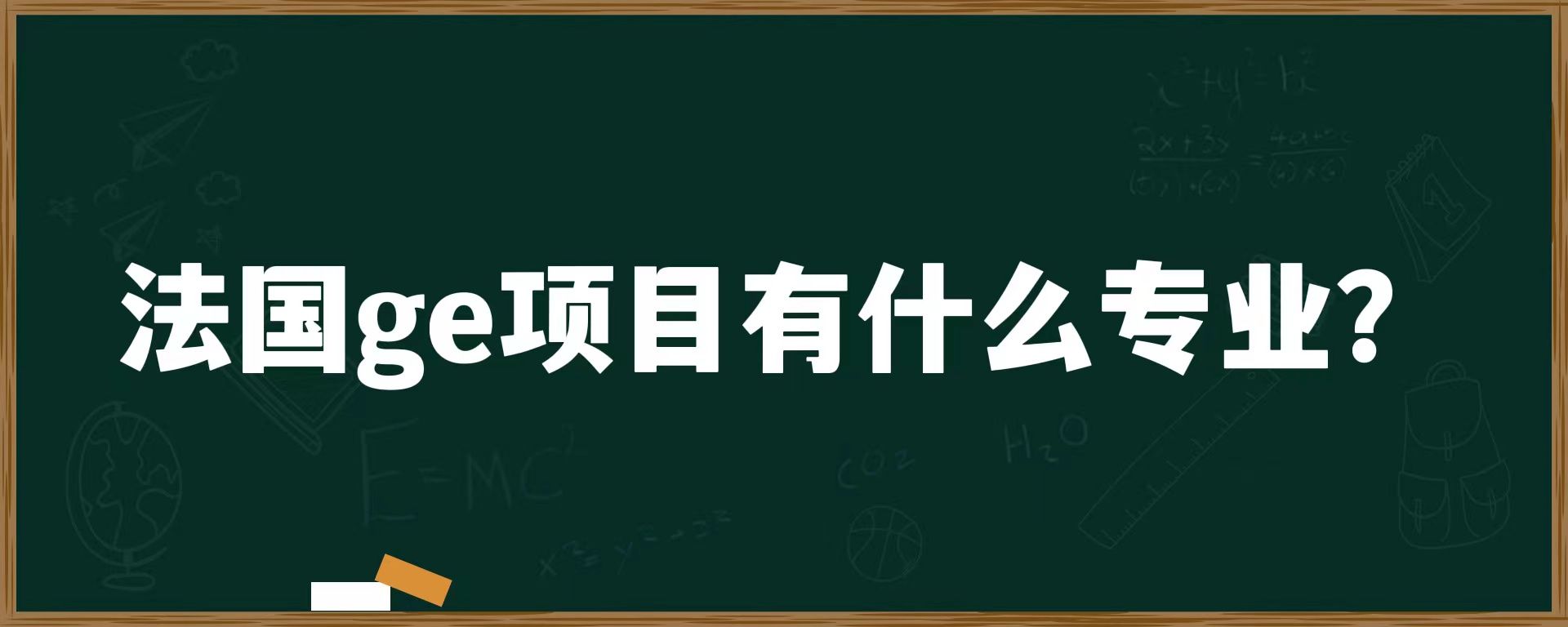 法国ge项目有什么专业？