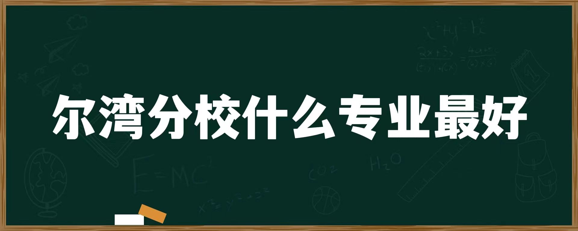 尔湾分校什么专业最好