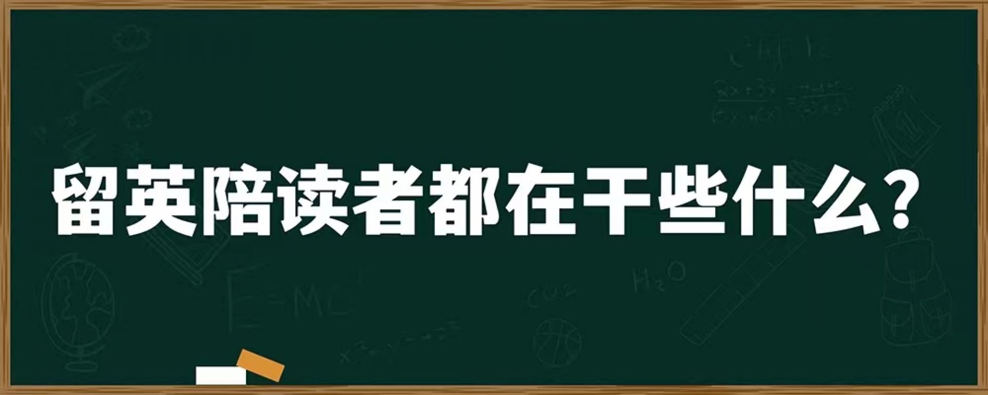 留英陪读者都在干些什么？