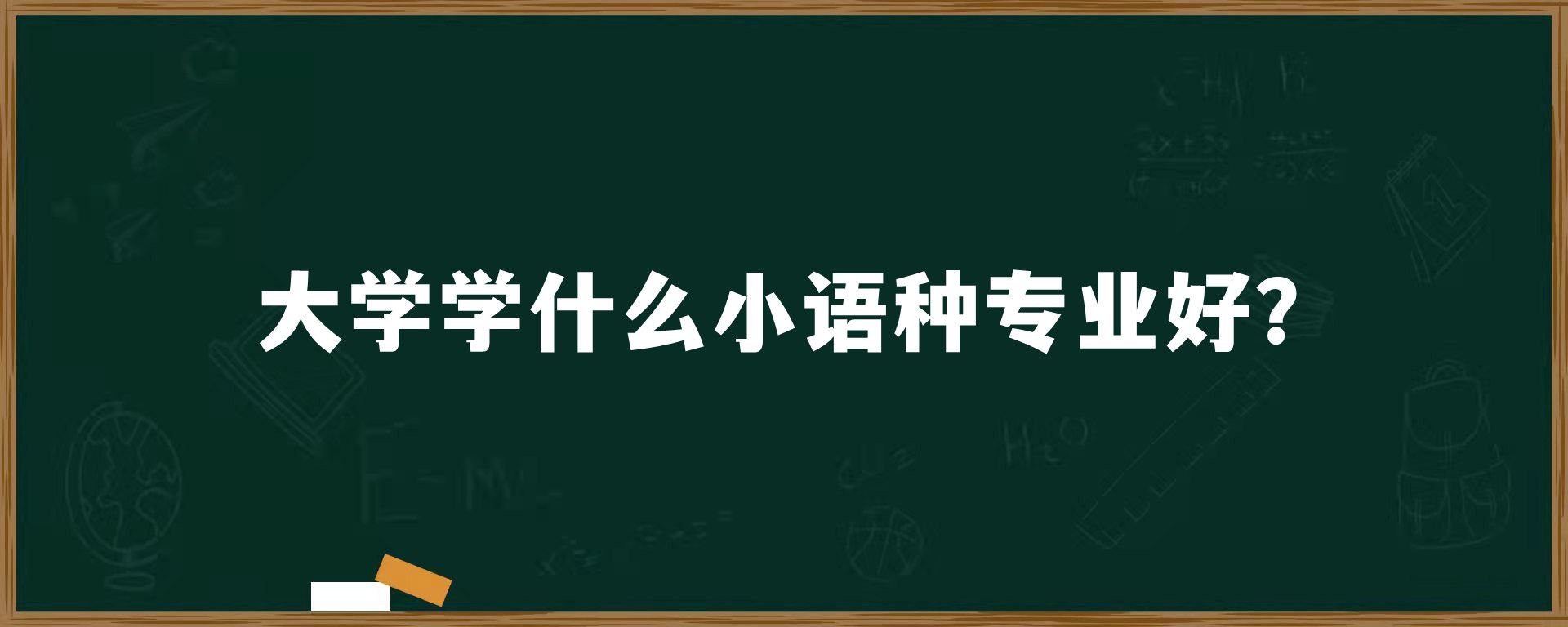 大学学什么小语种专业好？