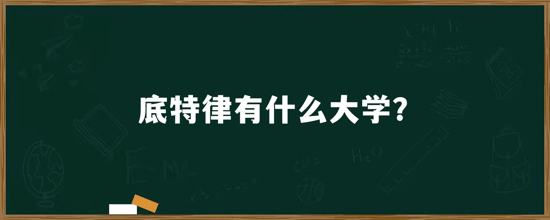 底特律有什么大学？