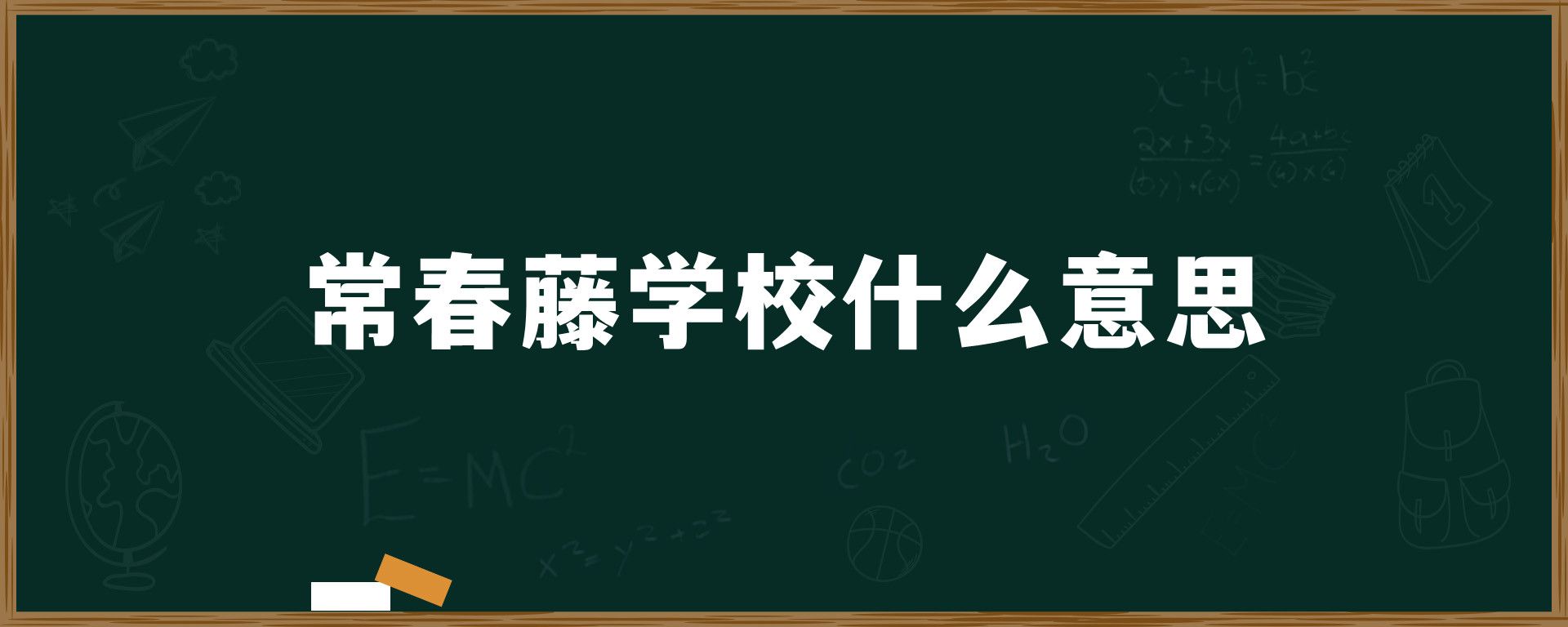 常春藤学校什么意思