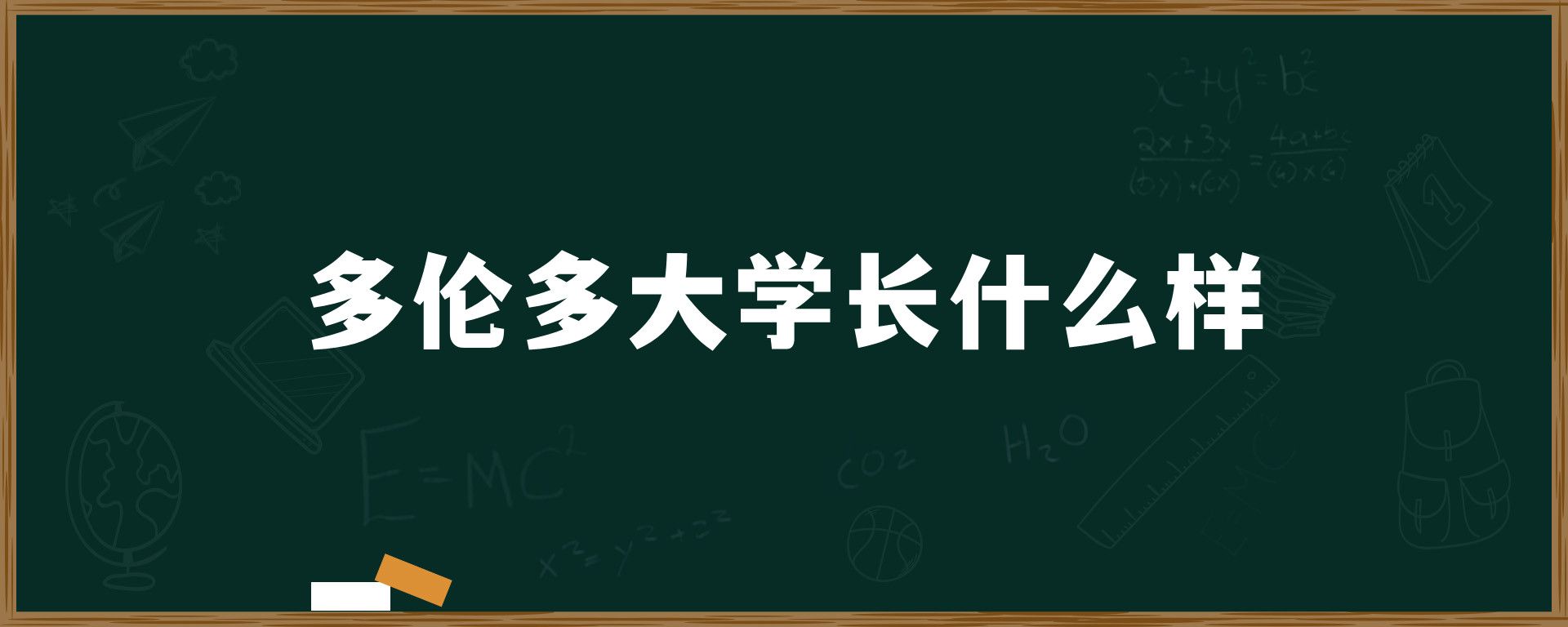 多伦多大学长什么样