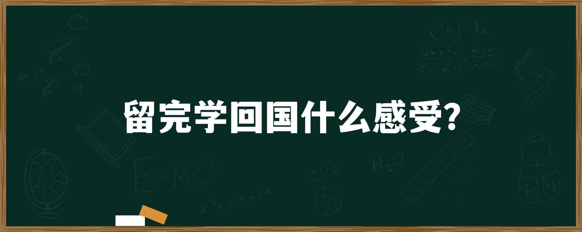 留完学回国什么感受？