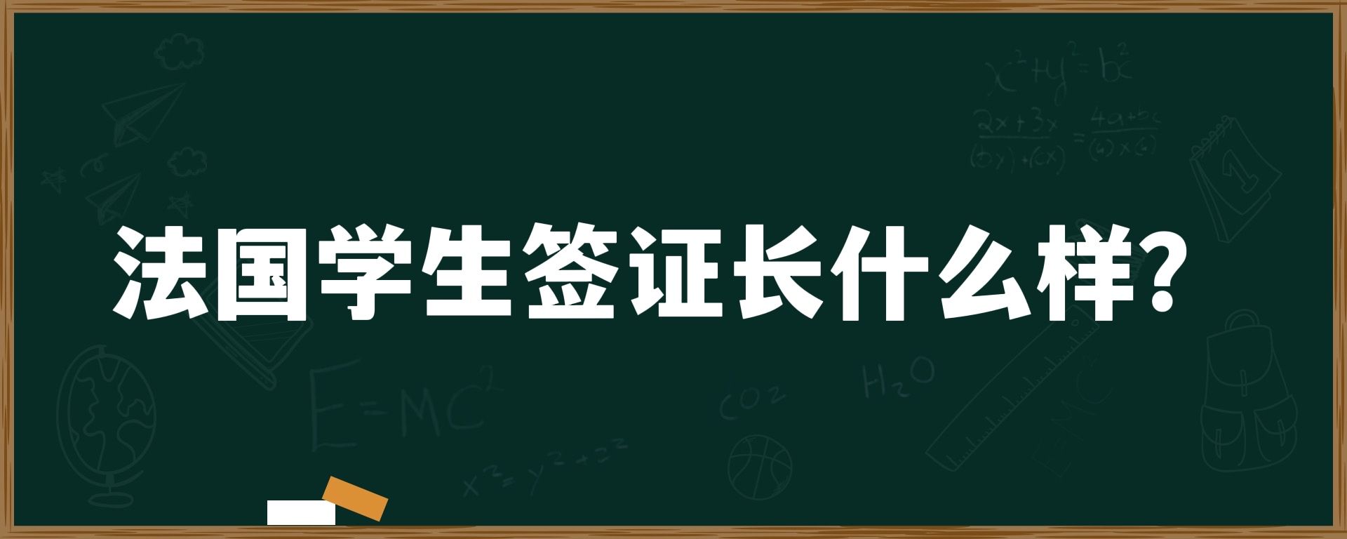 法国学生签证长什么样？