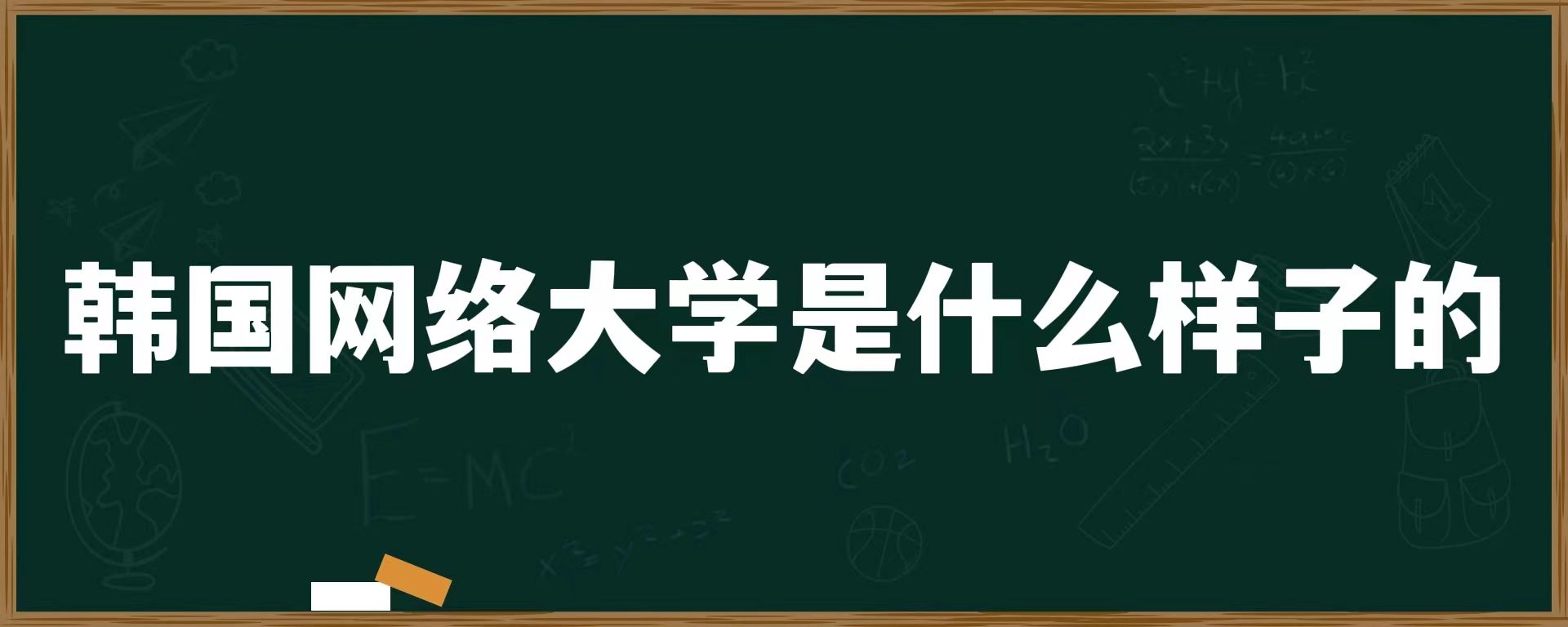 韩国网络大学是什么样子的