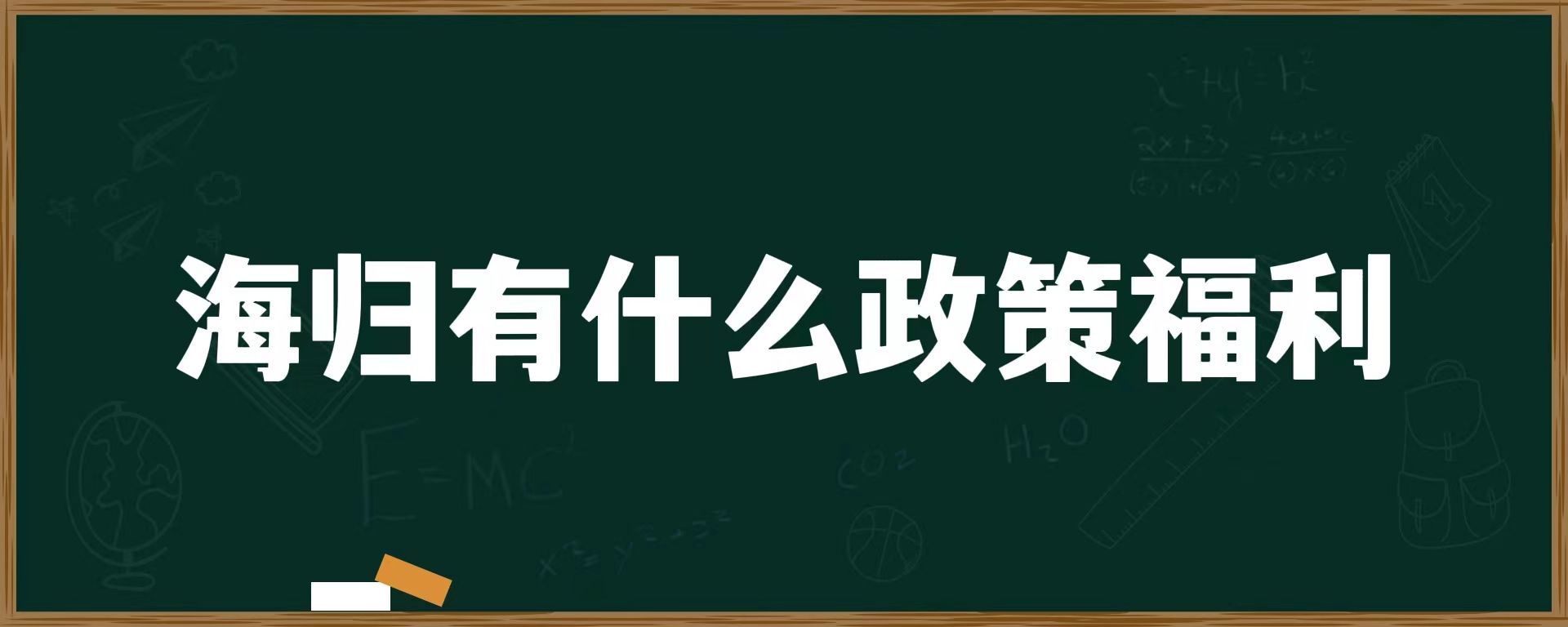 海归有什么政策福利