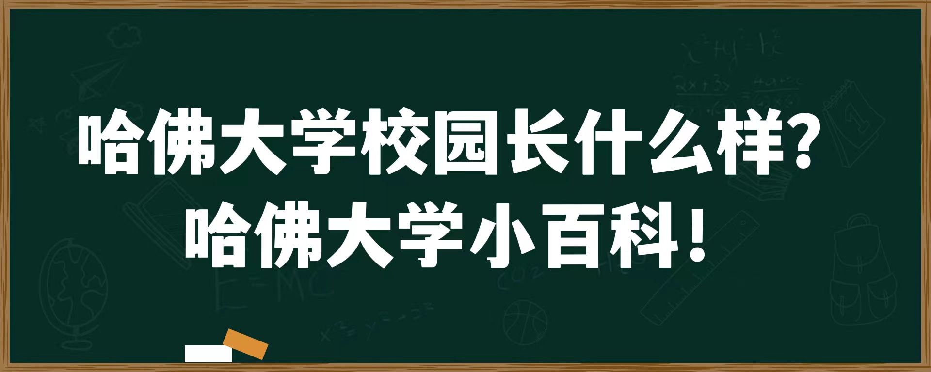 哈佛大学校园长什么样？哈佛大学小百科！