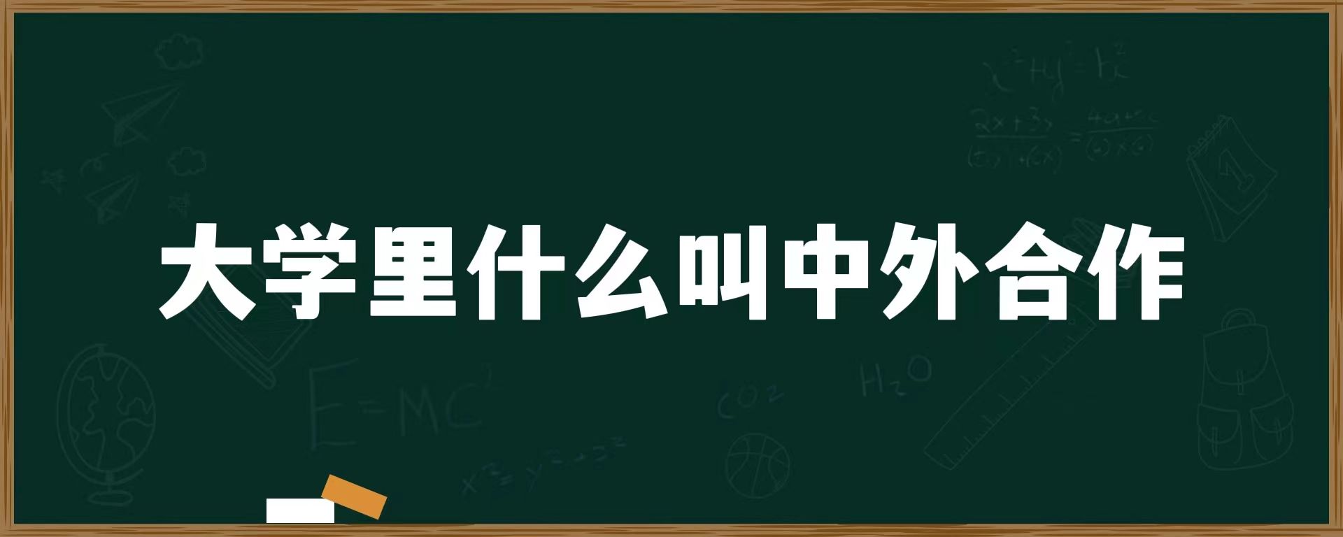 大学里什么叫中外合作