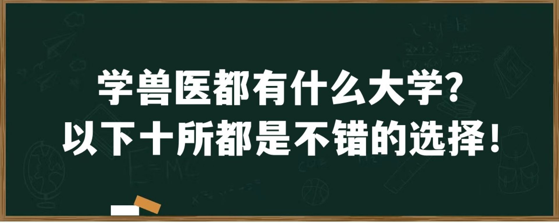 学兽医都有什么大学？以下十所都是不错的选择！