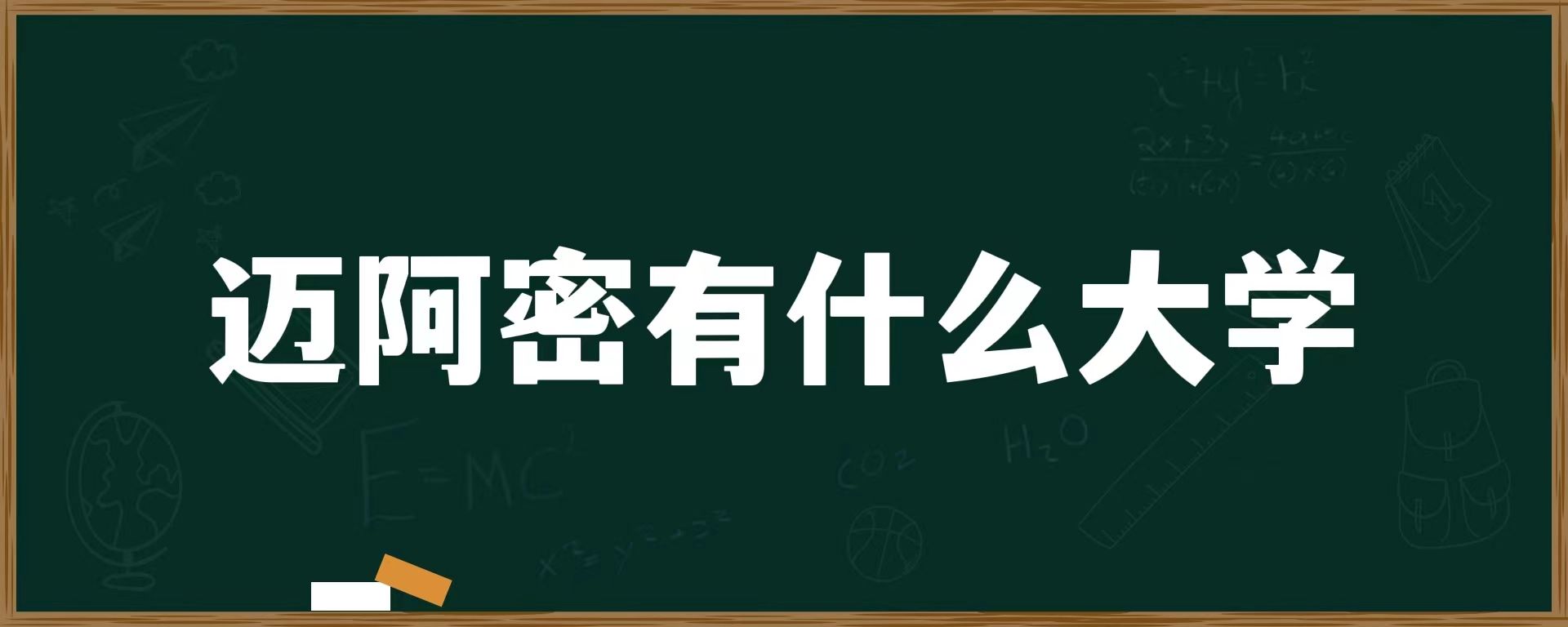 迈阿密有什么大学