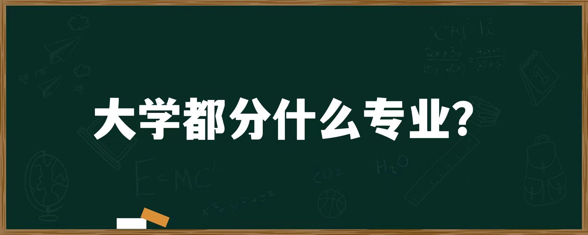 大学都分什么专业？