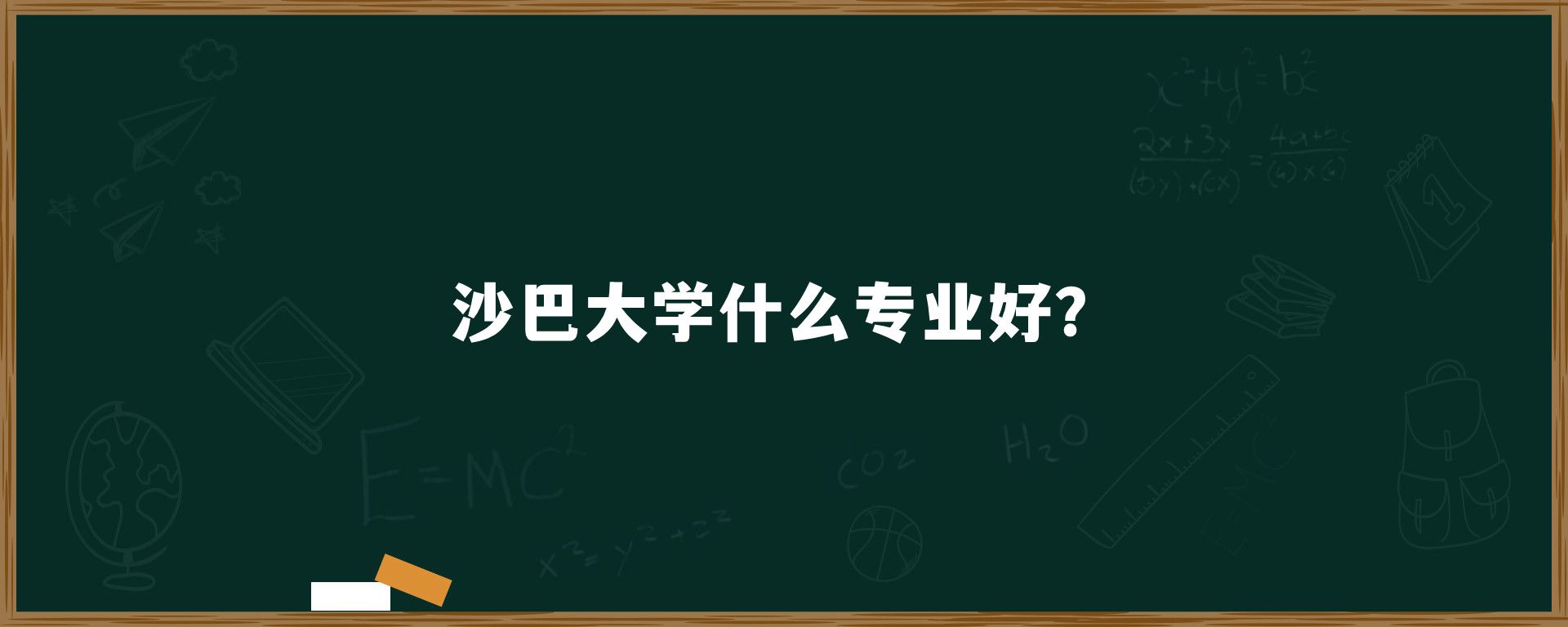 沙巴大学什么专业好？