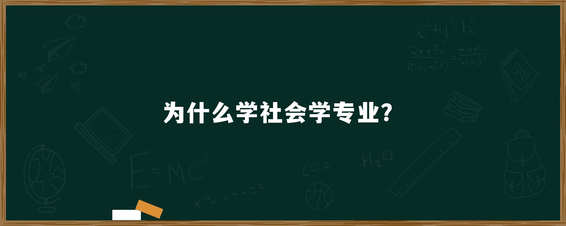 为什么学社会学专业？