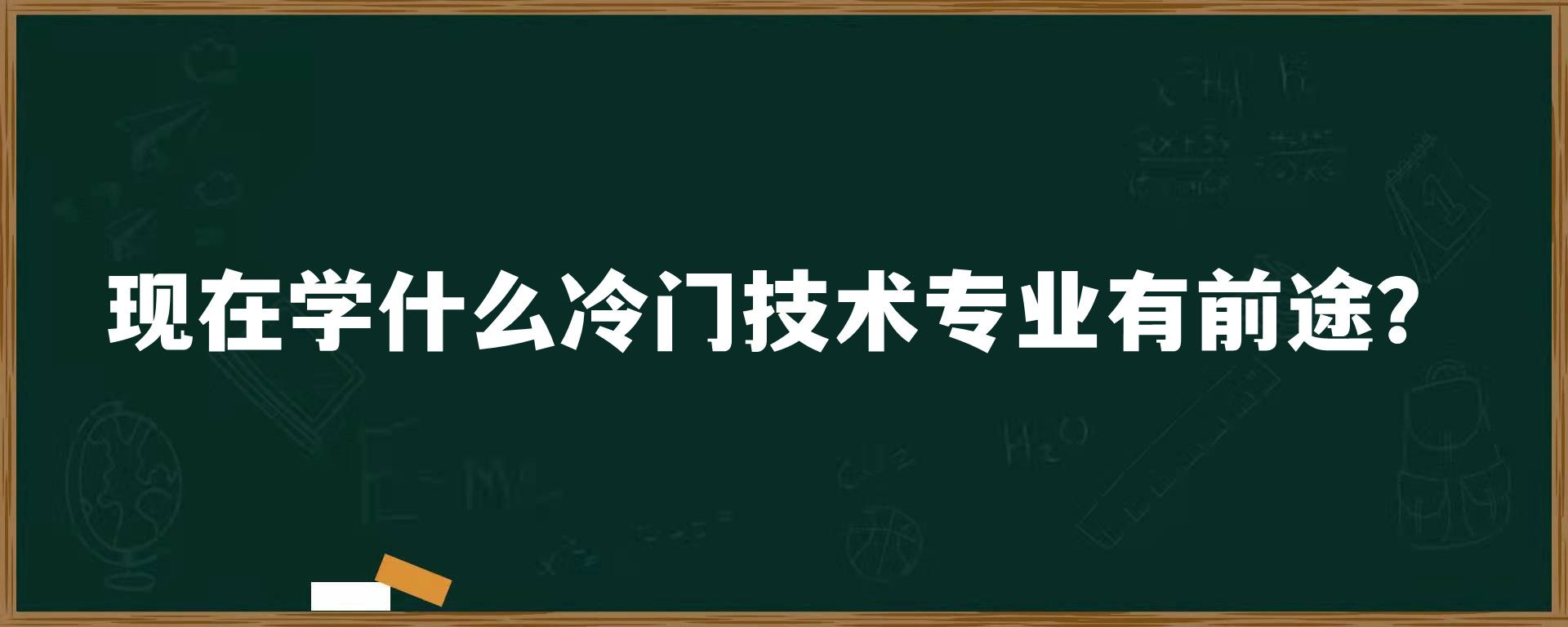 现在学什么冷门技术专业有前途？