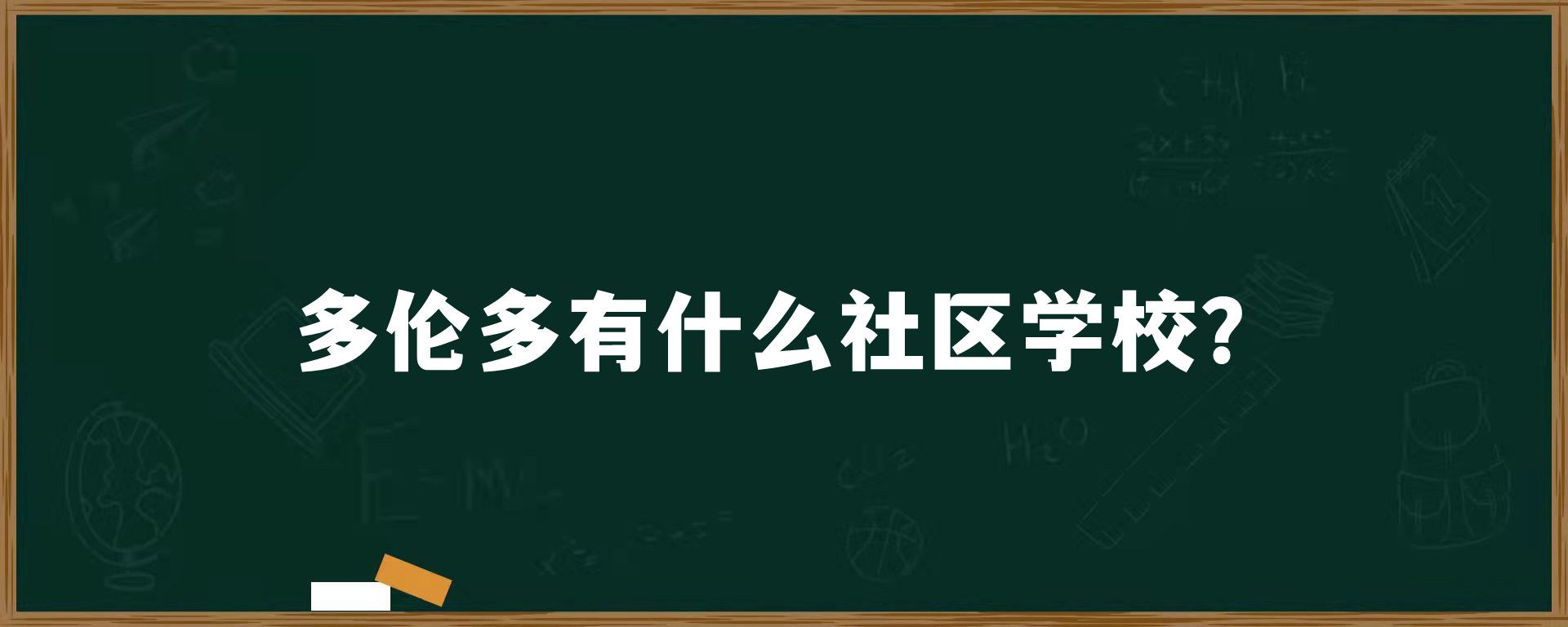 多伦多有什么社区学校？