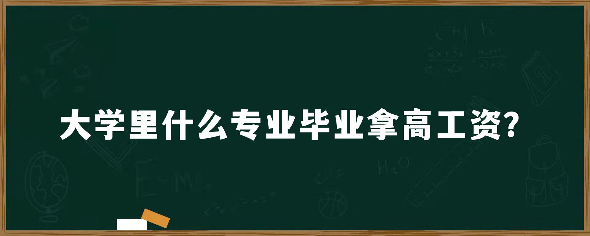 大学里什么专业毕业拿高工资？