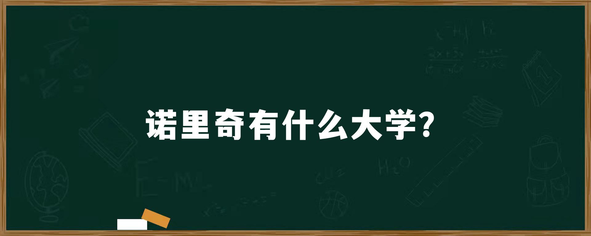 诺里奇有什么大学？