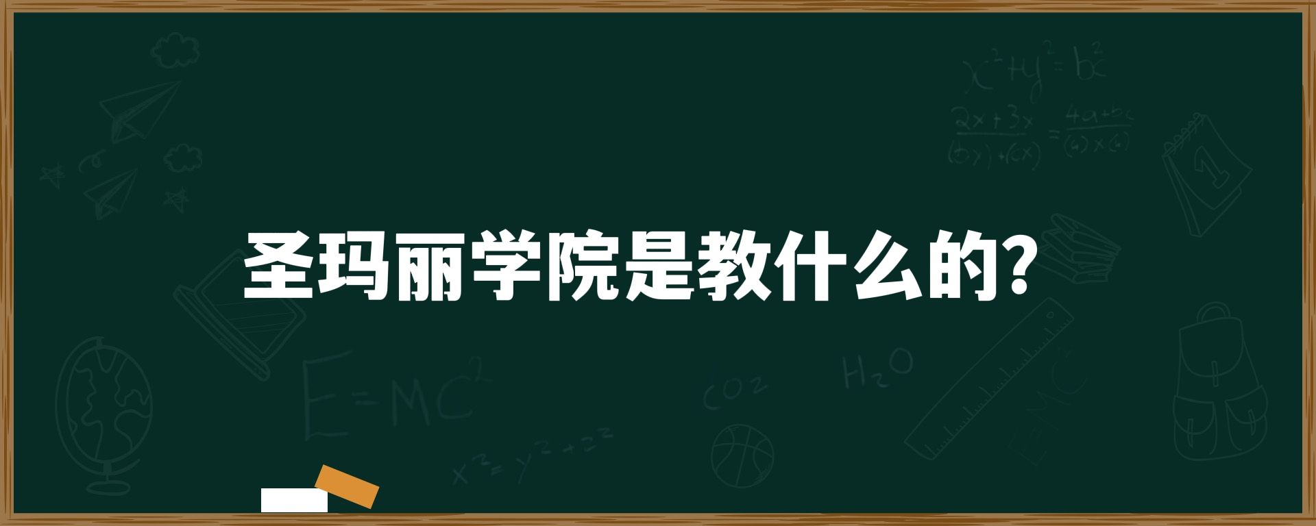 圣玛丽学院是教什么的