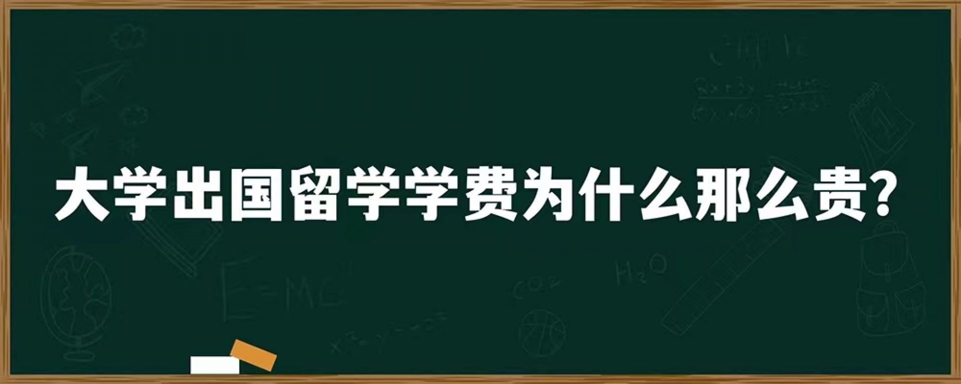 大学出国留学学费为什么那么贵？