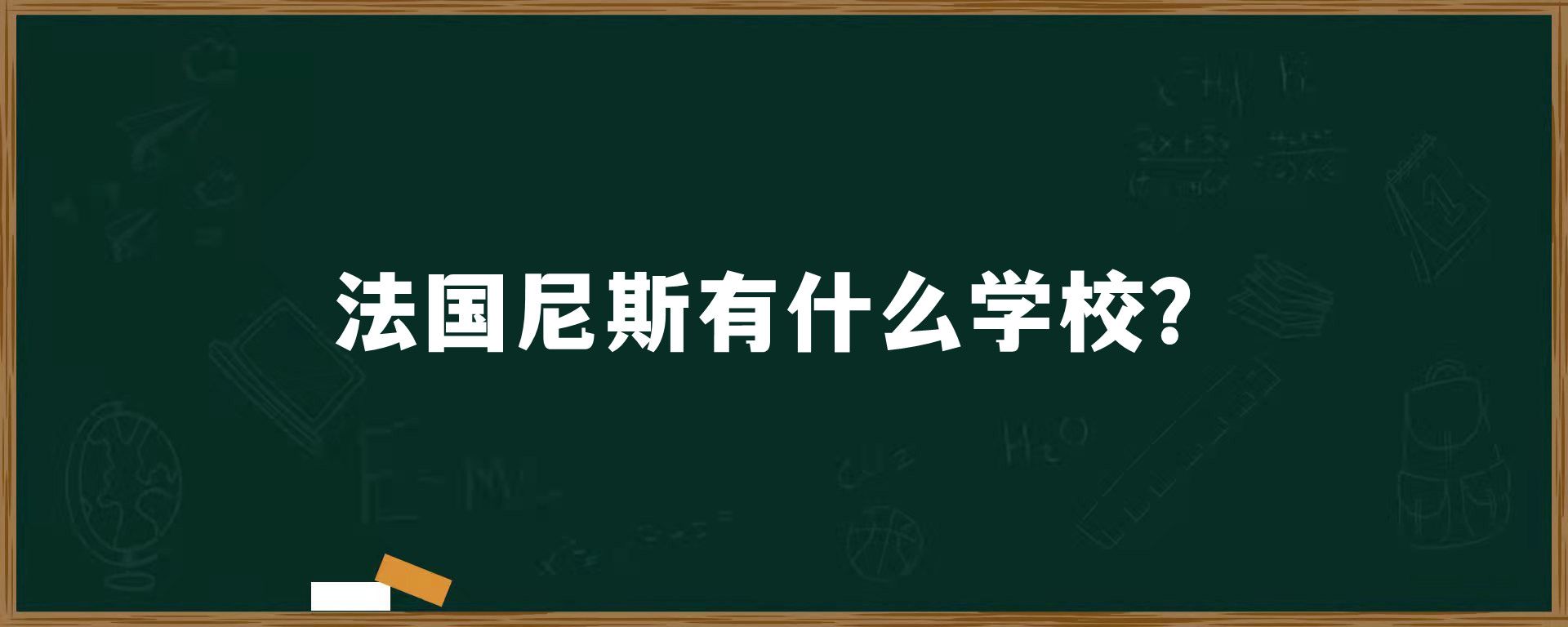 法国尼斯有什么学校？