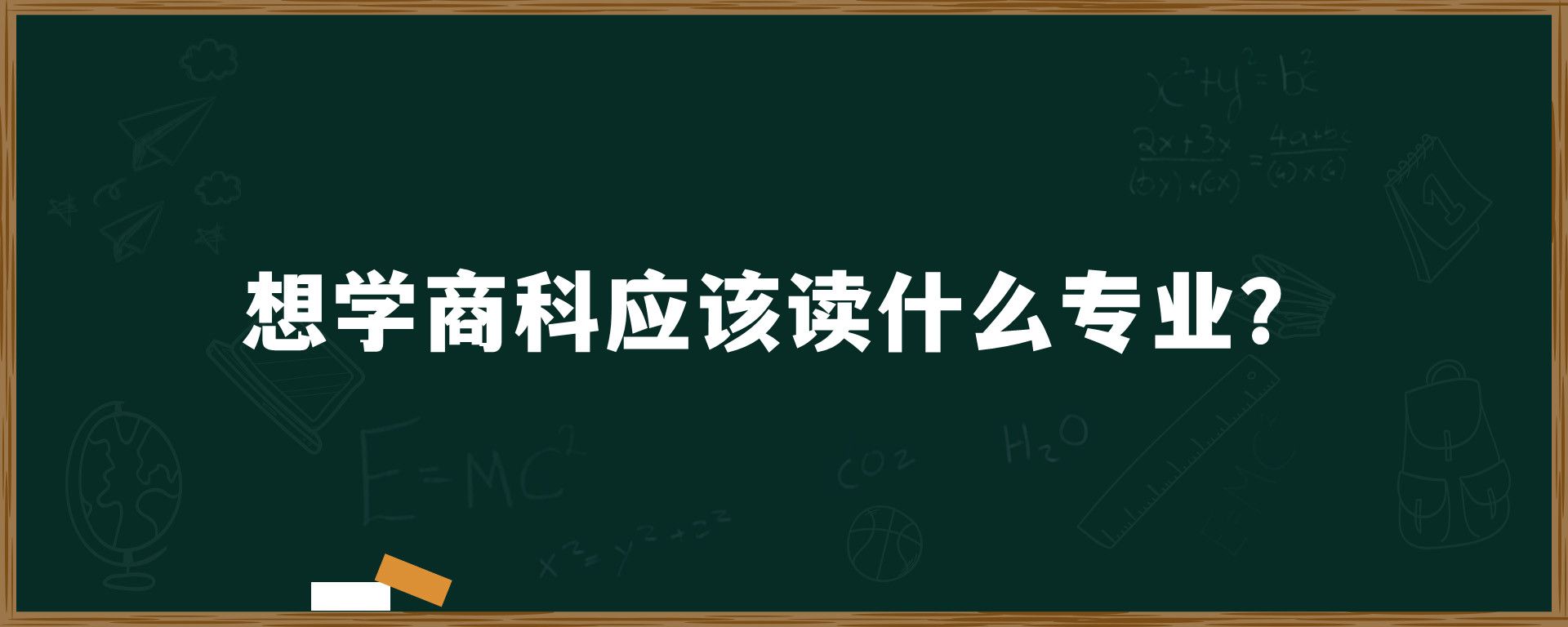 想学商科应该读什么专业？