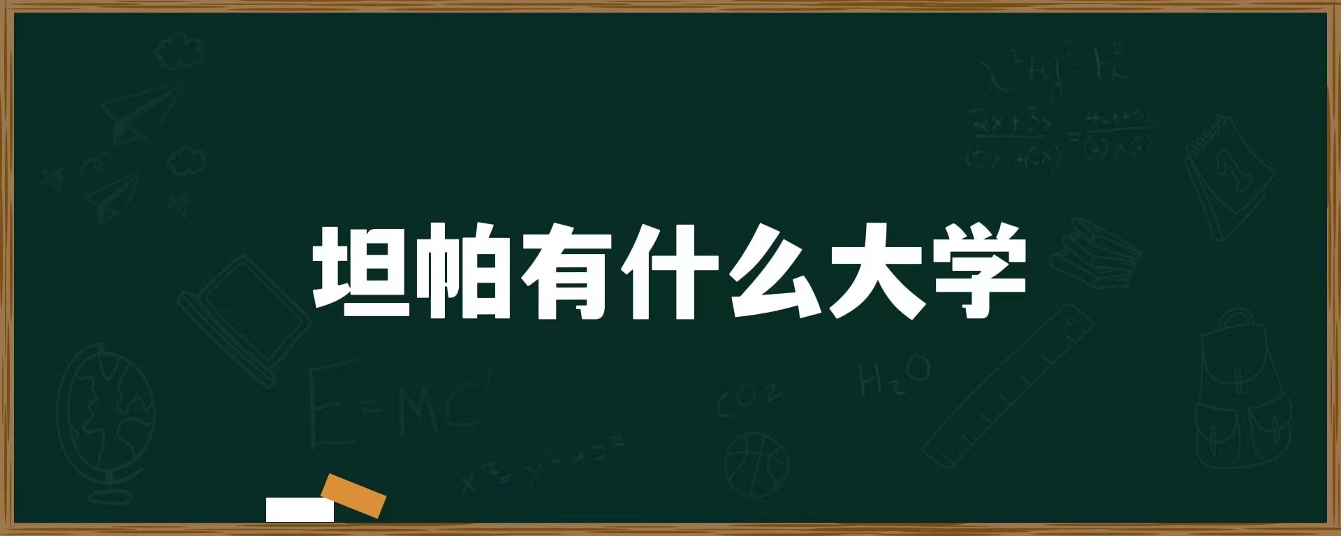 坦帕有什么大学